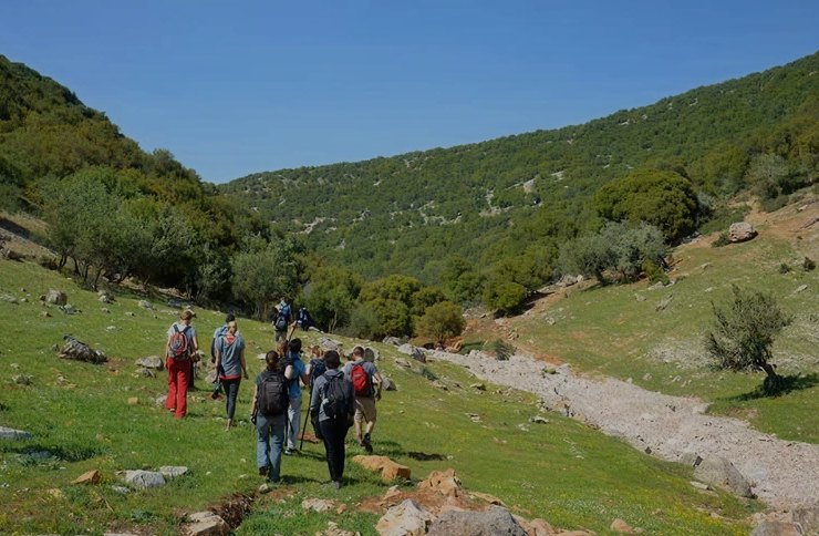 Hiking trails in Ajloun forests