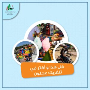 شاركونا الآن في فعاليات المولد النبوي الشريف