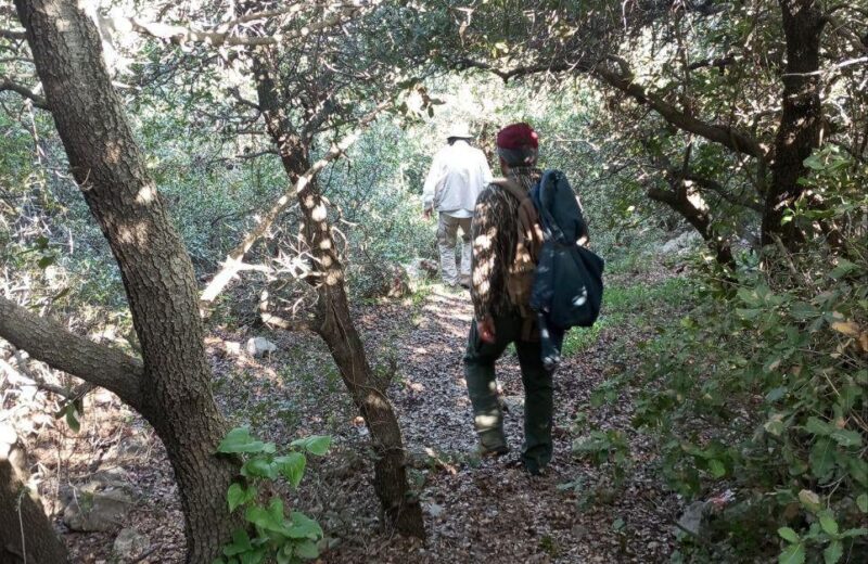 تفعيل المسارات الراجله ( Hiking ) بدءا من فتره العيد وما بعدها