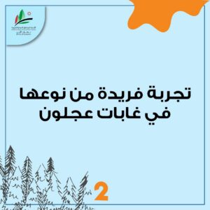 تجربة المسارات الراجلة